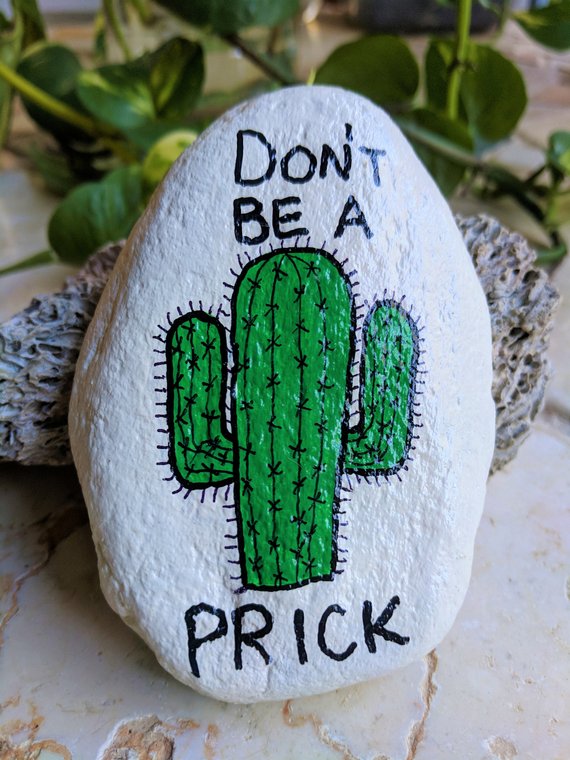 Don't be a prick cactus rock from Etsy