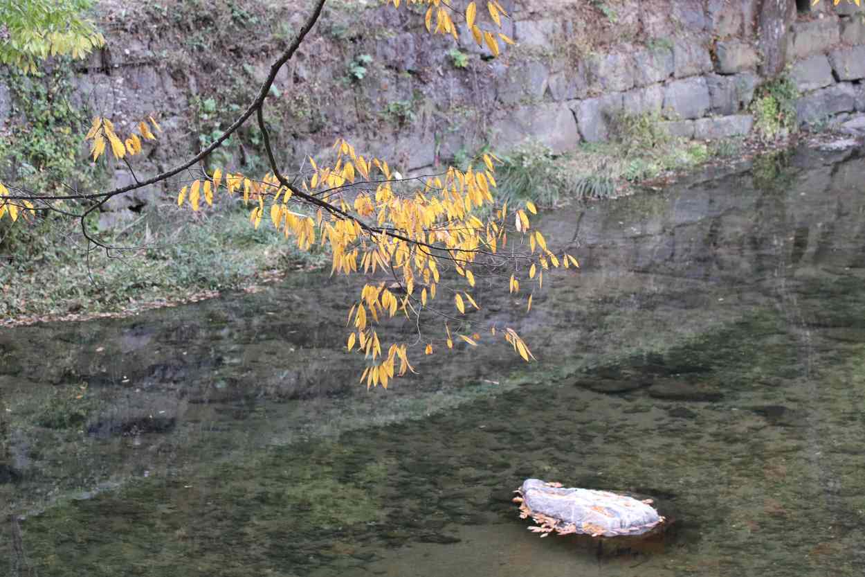 공주 태화산 마곡사
