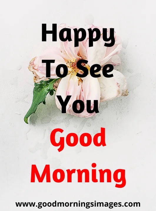 good morning pictures for love good morning pictures for love