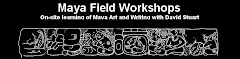 Maya Field Workshops -  Talleres de Campo Maya