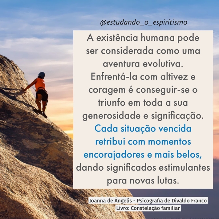Ser Espírita Joanna de Ângelis Livro Constelação Familiar Divaldo P. Franco Cap. 14