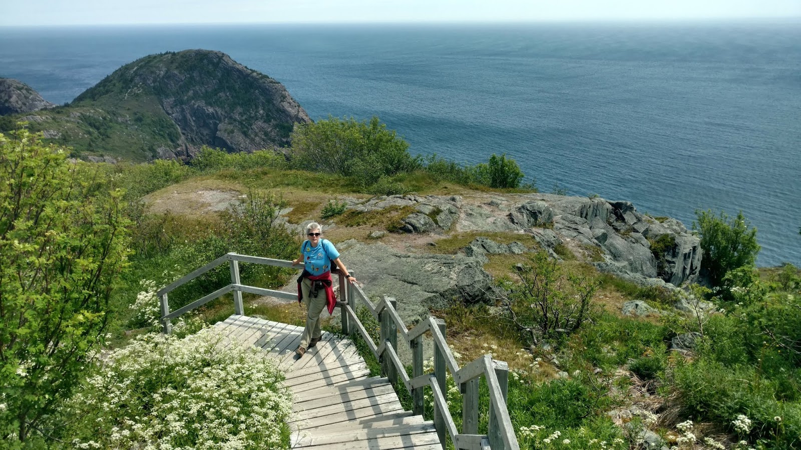 Dave'n'Kathy's Vagabond Blog Signal Hill to Quidi Vidi