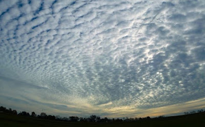 Awan Cirrocumulus (Cc)