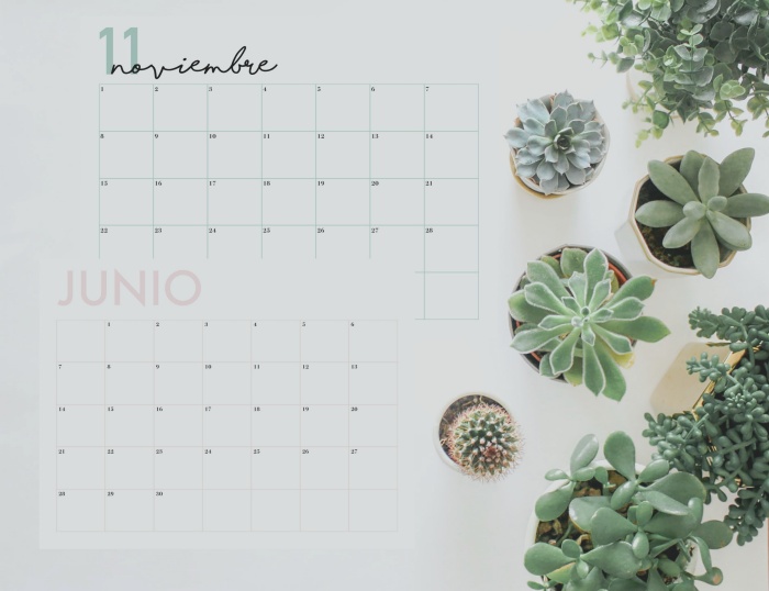 Calendario minimalista horizontal 2021 (empezando en lunes) | annie's place⠀