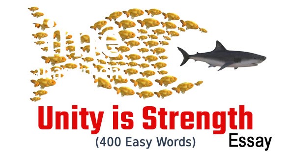 essay about unity is strength