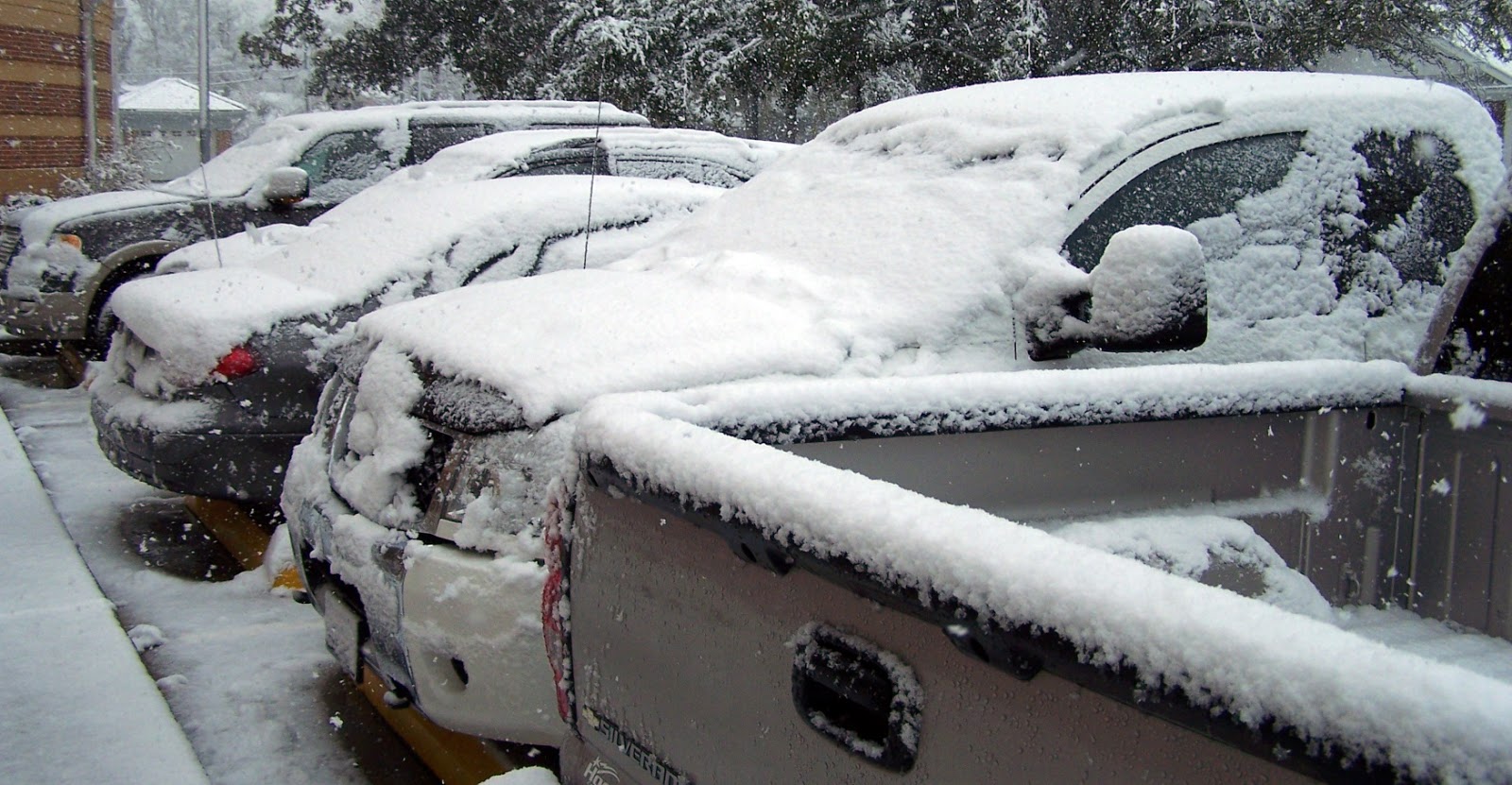 Tammany Family Snow in Covington