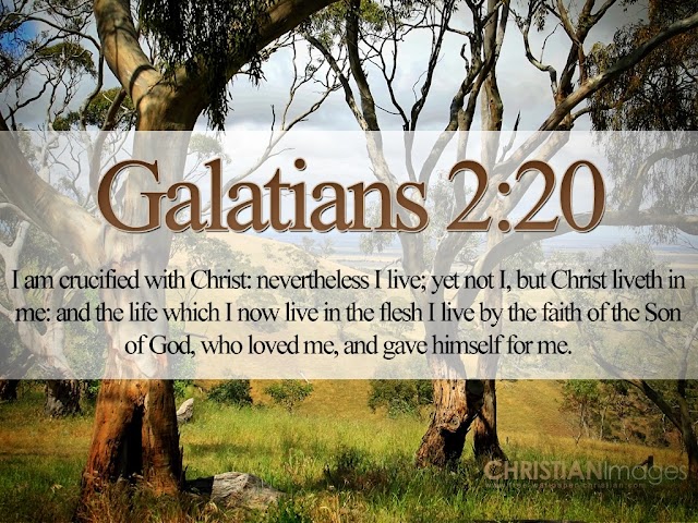 Bible Verse Galatian 2 : 20 Picture