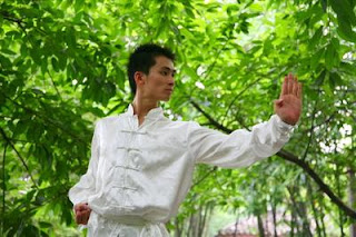 Arise Area Kung Fu Techniques