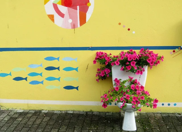 West Cork Ireland: Street art and toilet turned into a flower planter
