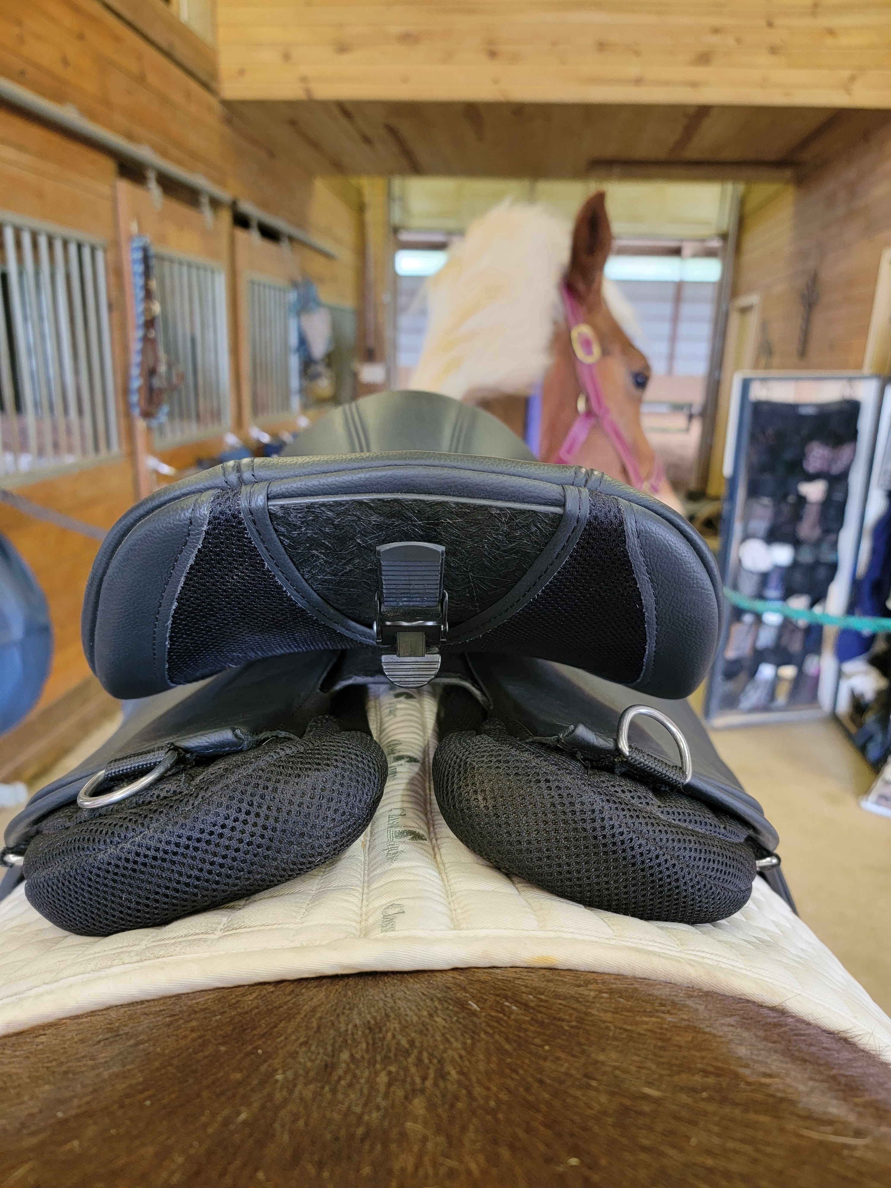 Cob Jockey Saddle Fitting 8 Bua Saddles
