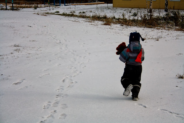 Утро На Бьорновой Опушке