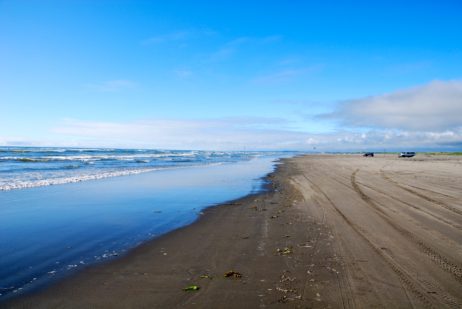 Wanderlust Traveler Ocean Shores, Washington