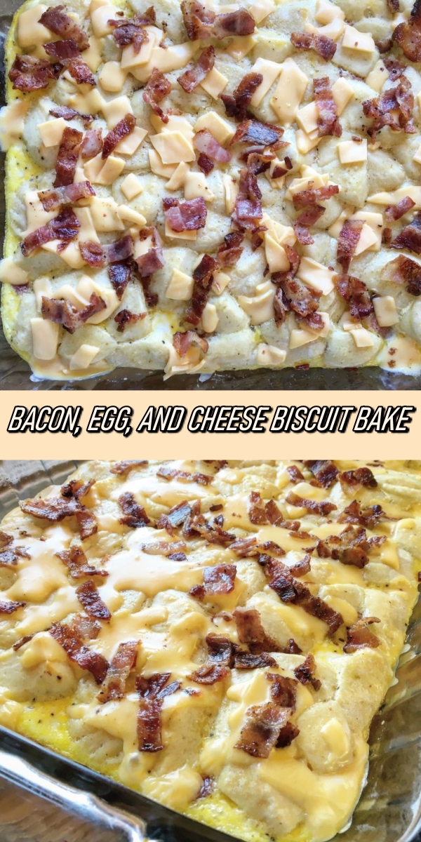 BACON, EGG, AND CHEESE BISCUIT BAKE Recipe Notes