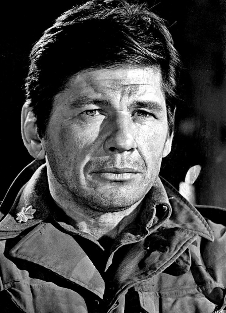 What Happened To Charles Bronson what-happened-to-charles-bronson