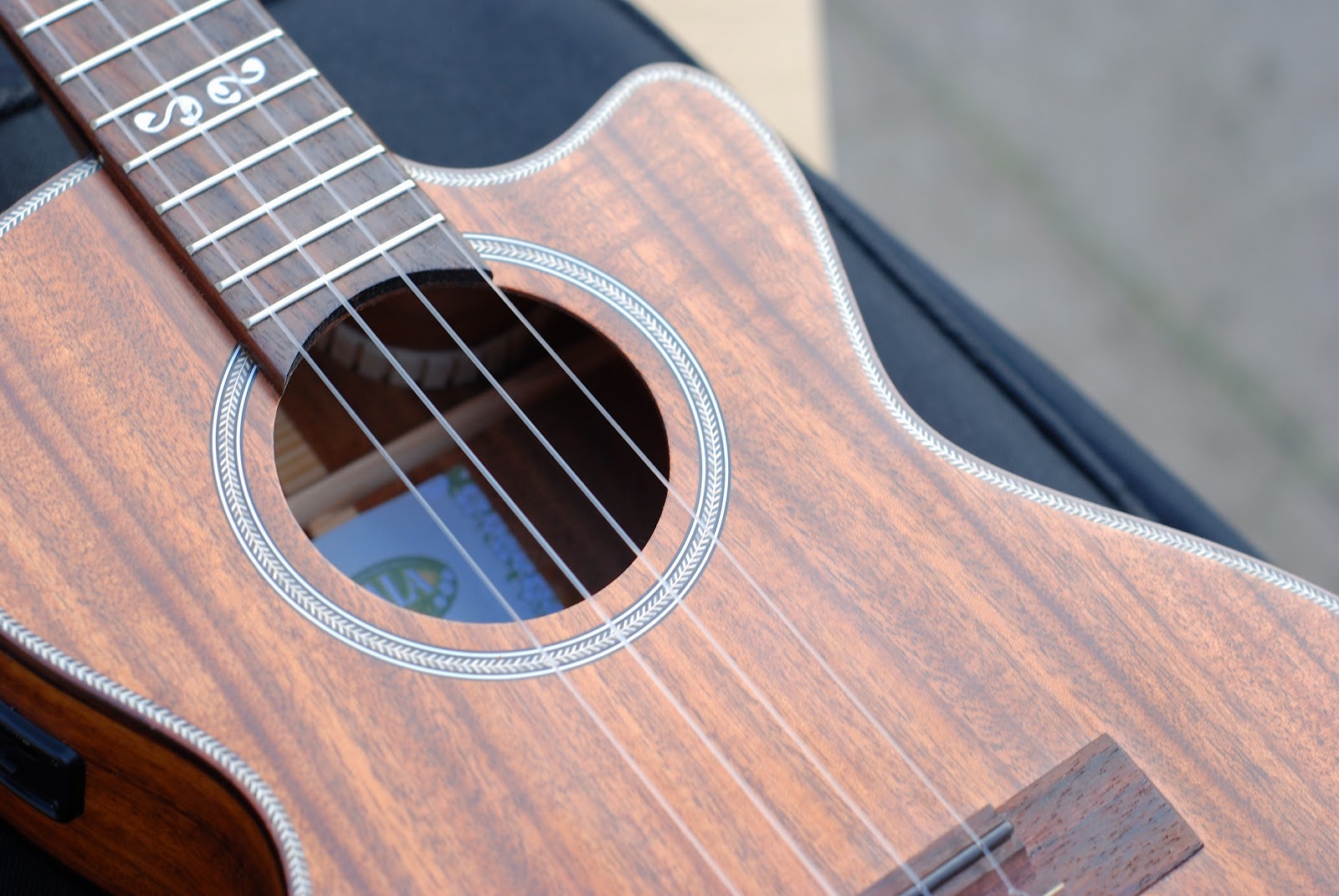 Kala KAASACTE/C Electro Tenor Ukulele REVIEW