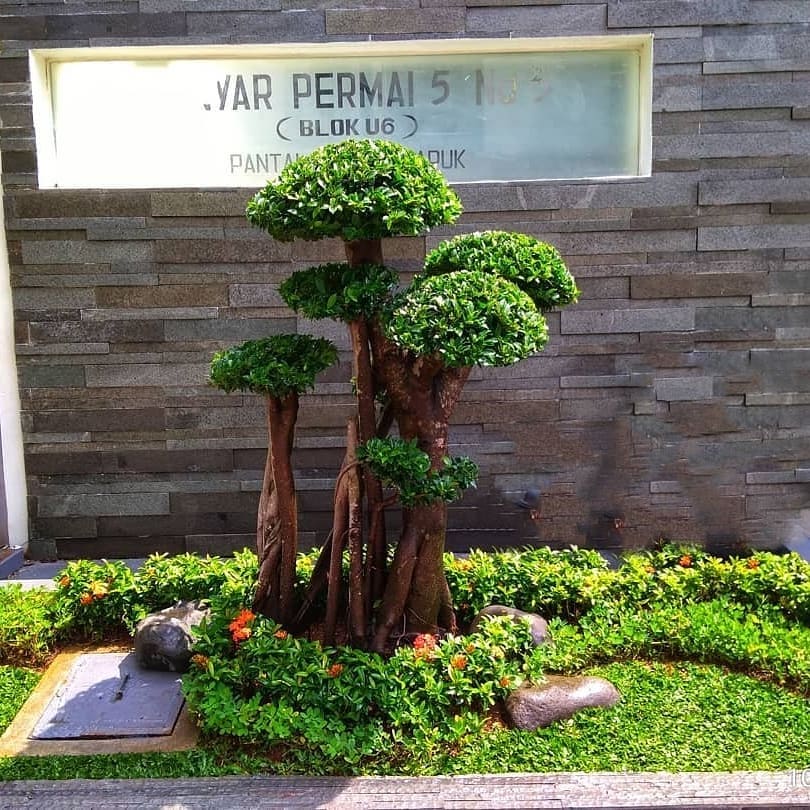 Indahnya konsep gaya taman Jepang (Japanese garden) yang mempesona