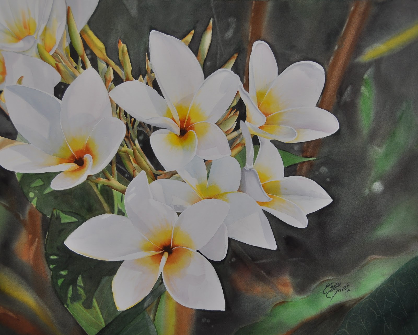 Fine Art By Cady Driver StepbyStep Watercolor Flowers Frangipanis