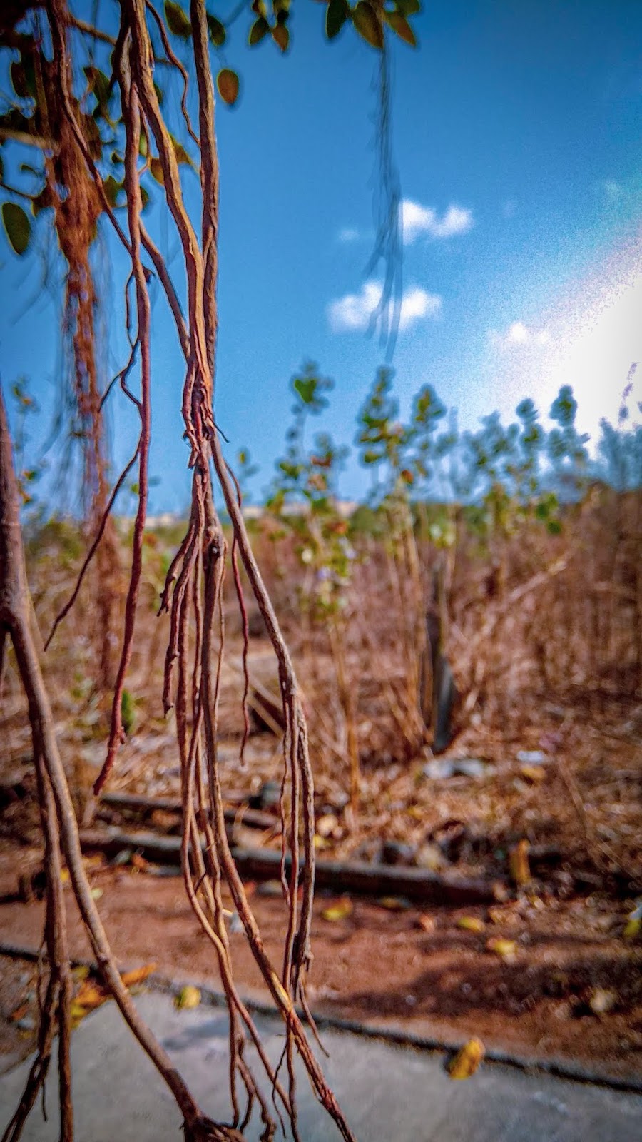 Redmi Note 8 Pro [ TOP ] Wallpapers Full HD