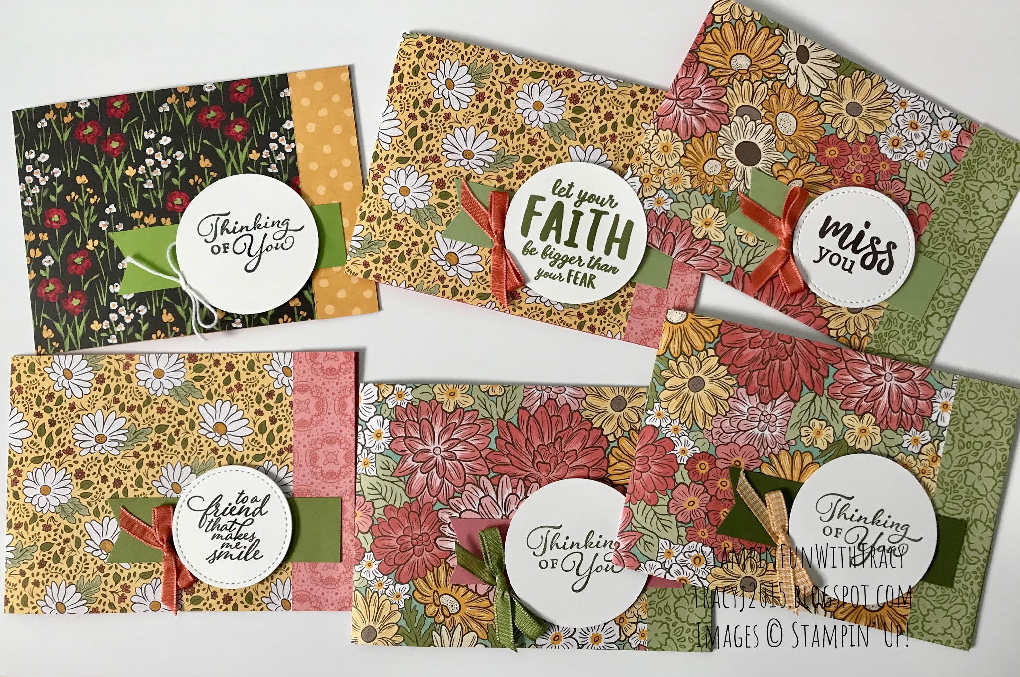 StampinFunWithTracy Designer Series Paper Cards
