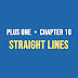 Plus One - Chapter 10 - Straight Lines