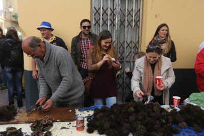 Erizá 2016 Ostioná Erizá cádiz carnaval 2016