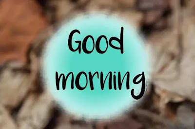Good Morning Images Good Morning Images