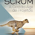 FCA | "SCRUM - A gestão ágil de projetos" de João Paulo Pinto e Christiane Tscharf