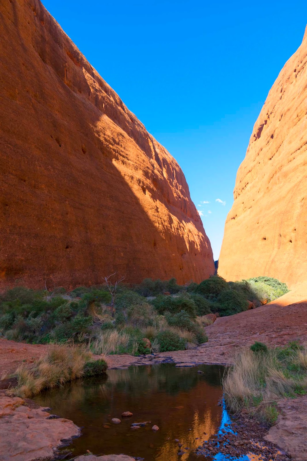 valleys in kata tjuta