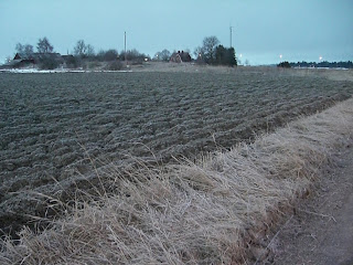 Morgonpromenad - Powerwalk i raskt tempo