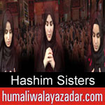 https://www.humaliwalayazadar.com/2012/11/hashim-sisters-nohay-2011-2013.html