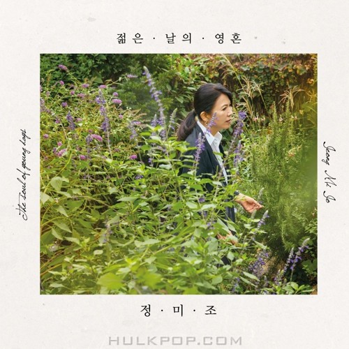 Jung Mijo – The Soul Of Young Days