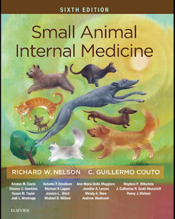 Small Animal Internal Medicine 6th Edition