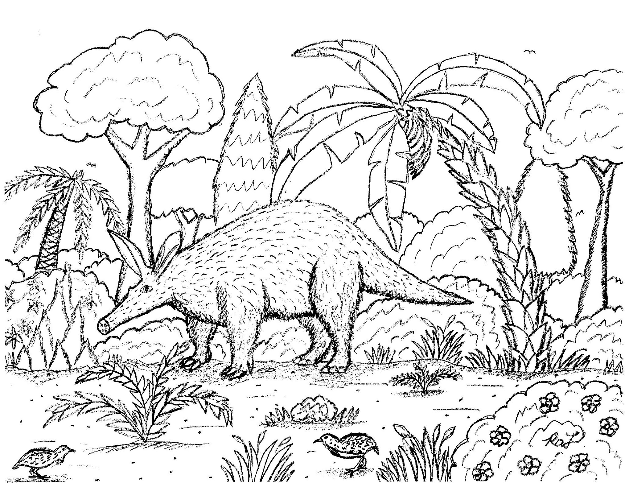 Robin’s Great Coloring Pages: F-111 Aardvark Strike Fighter and an