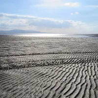 Photos of Ireland: ripples in the sand in County Sligo