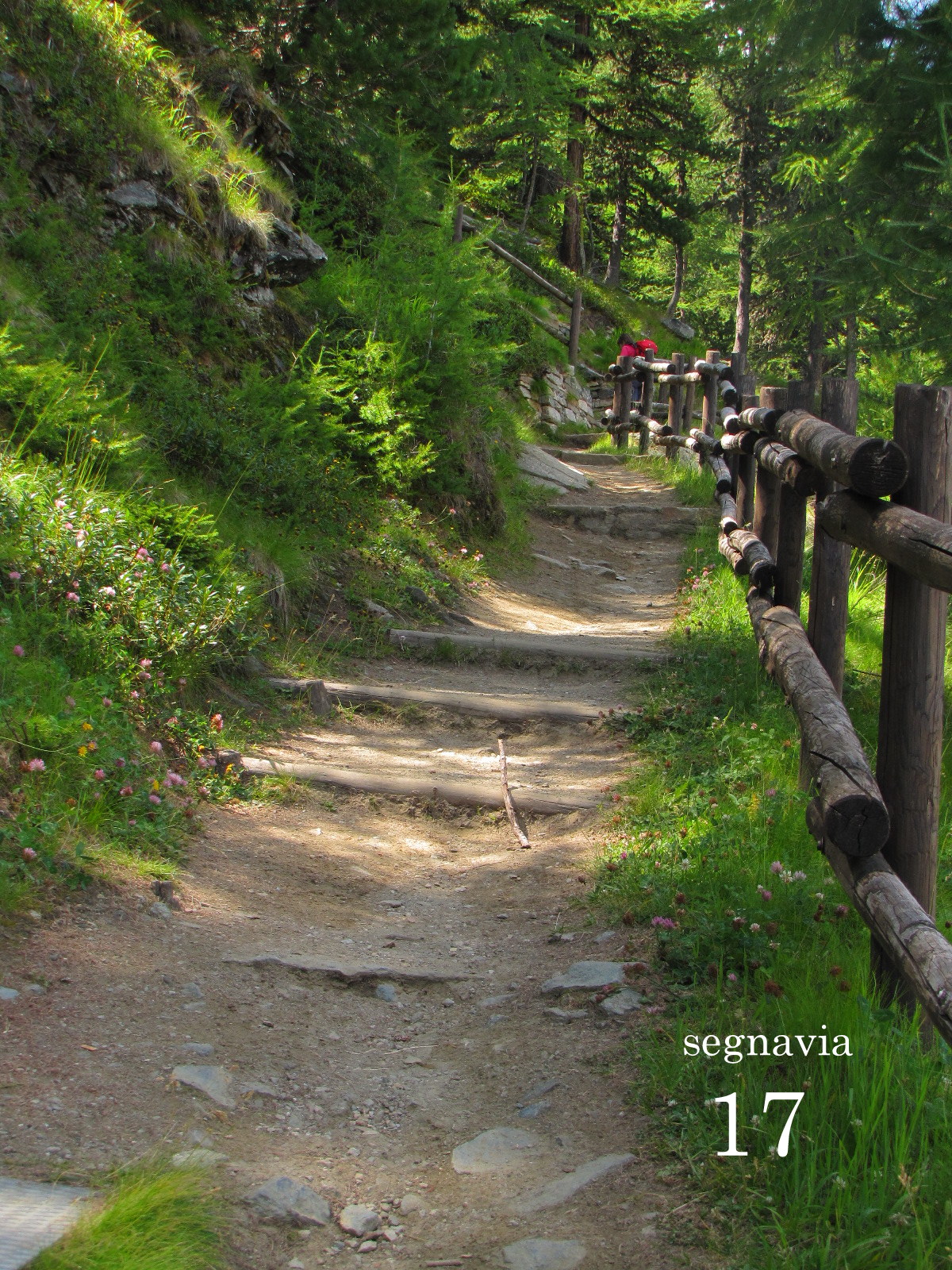 Sentiero natura Cogne Montesuc