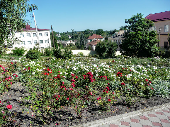 Кременец. Розарий