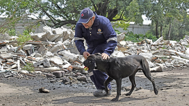Puebla, sede del entrenamiento regional de Binomios Caninos de Búsqueda y Rescate