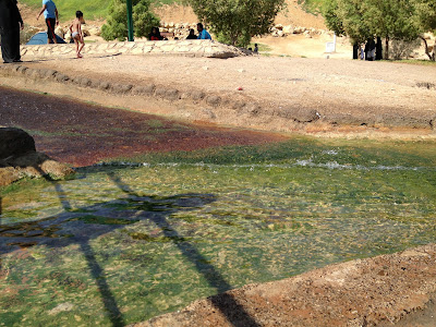 The Green Mubazzarah hot spring