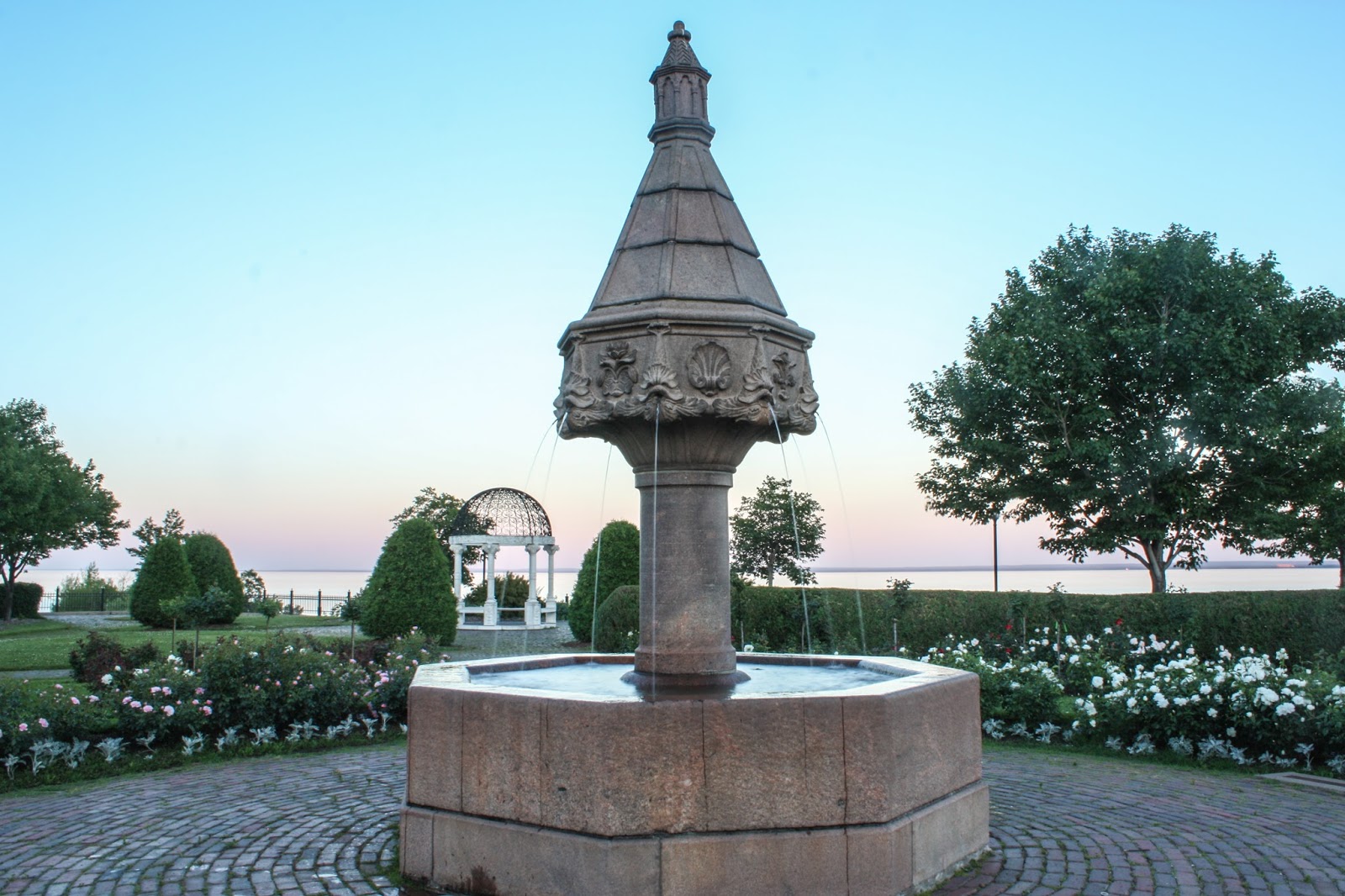 reminisce-images-by-stefanie-duluth-rose-garden