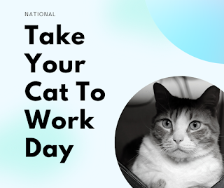 National Take Your Cat to Work Day HD Pictures, Wallpapers