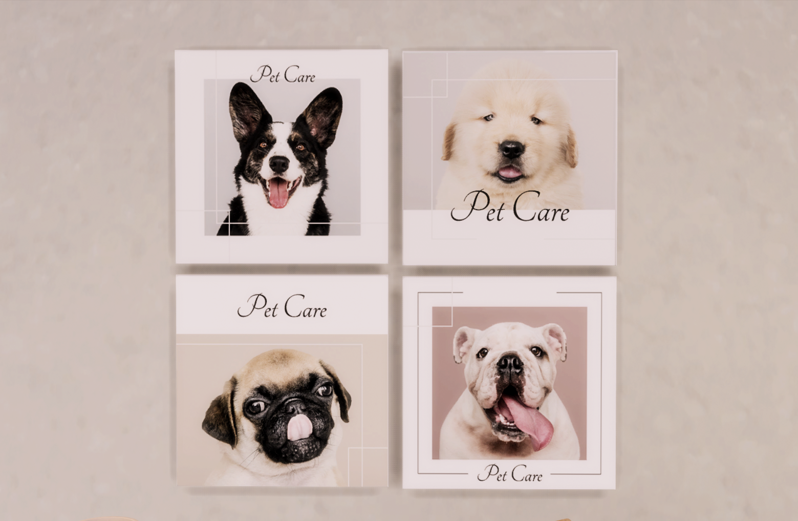 February Sims 4 Pet Shop CC Set ♡ [Early Access] [ Ruby Red Sims ]