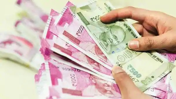 Start This Business with Cow Dung You Will Earn Millions Only in Hard Work Start This Business with Cow Dung You Will Earn Millions Only in Hard Work