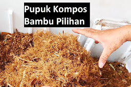 Pupuk Kompos Bambu Pilihan Trichoderma dan PGPR Alami