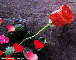animated rose gifs 3d cards roses flower heart moving animations screensaver backgrounds wallpapers kiss flowers hearts background animation ami romantic