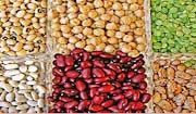 legumes legumes