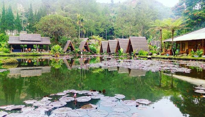 Hotel di Puncak Bandung Dengan Panorama Alam Yang Indah