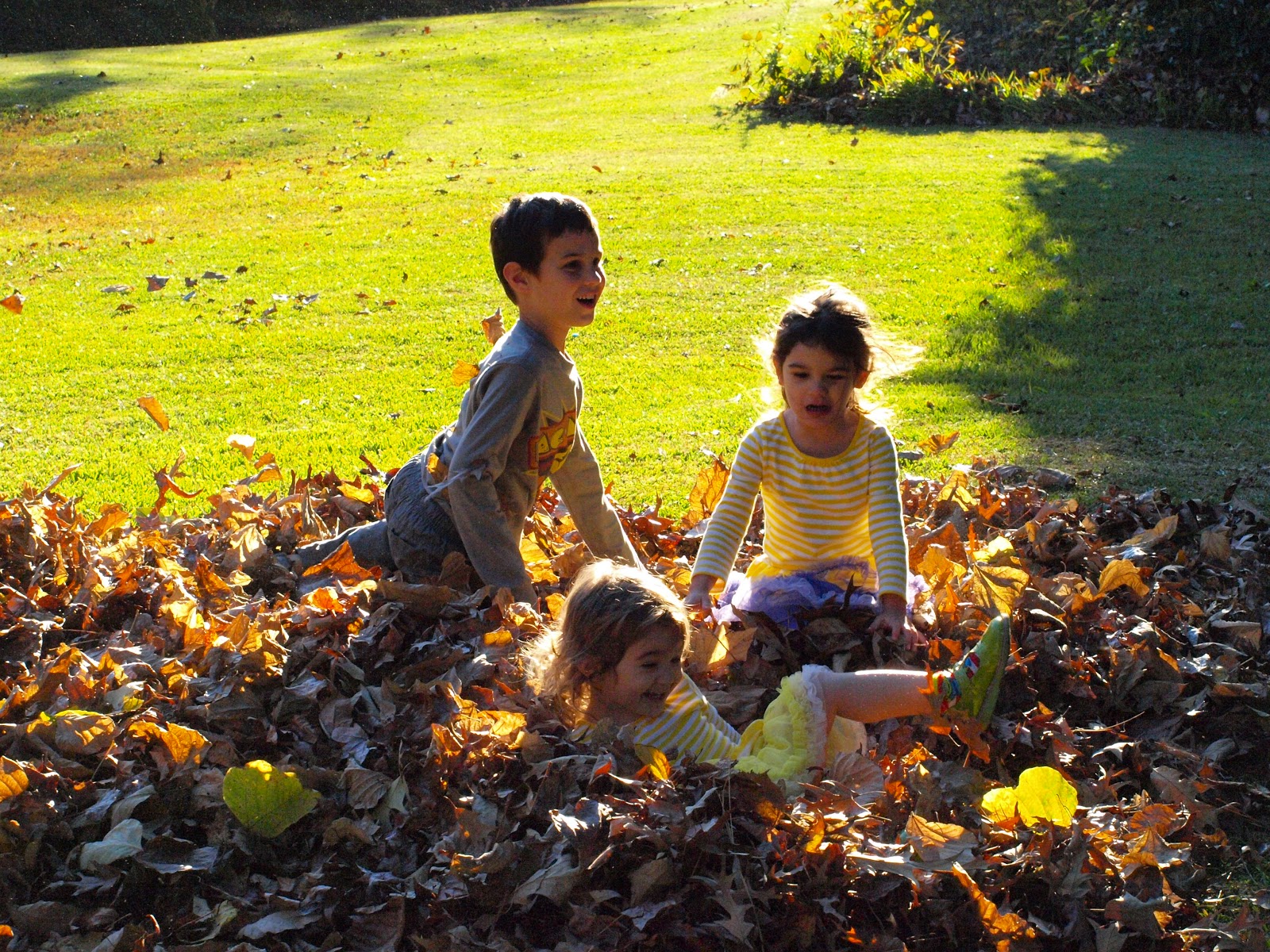 the Mathews Family Happenings: December 2012