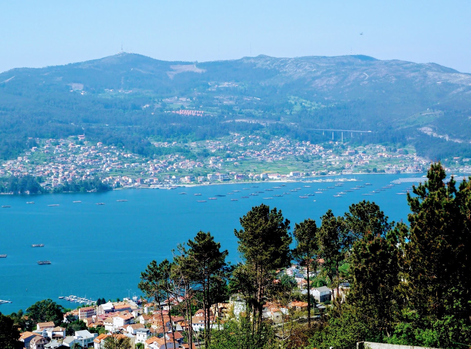 j'ai vu, j'ai photographié, je partage: La ria de Vigo Galice Espagne