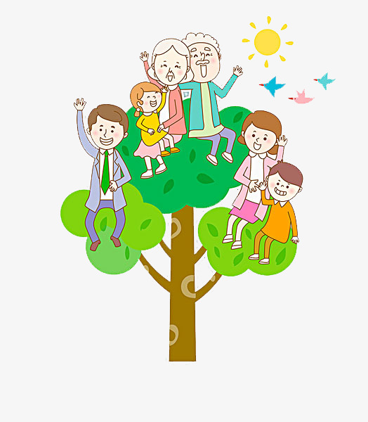 تعليم رسم شجرة العائلة في خطوات بسيطة تسامح