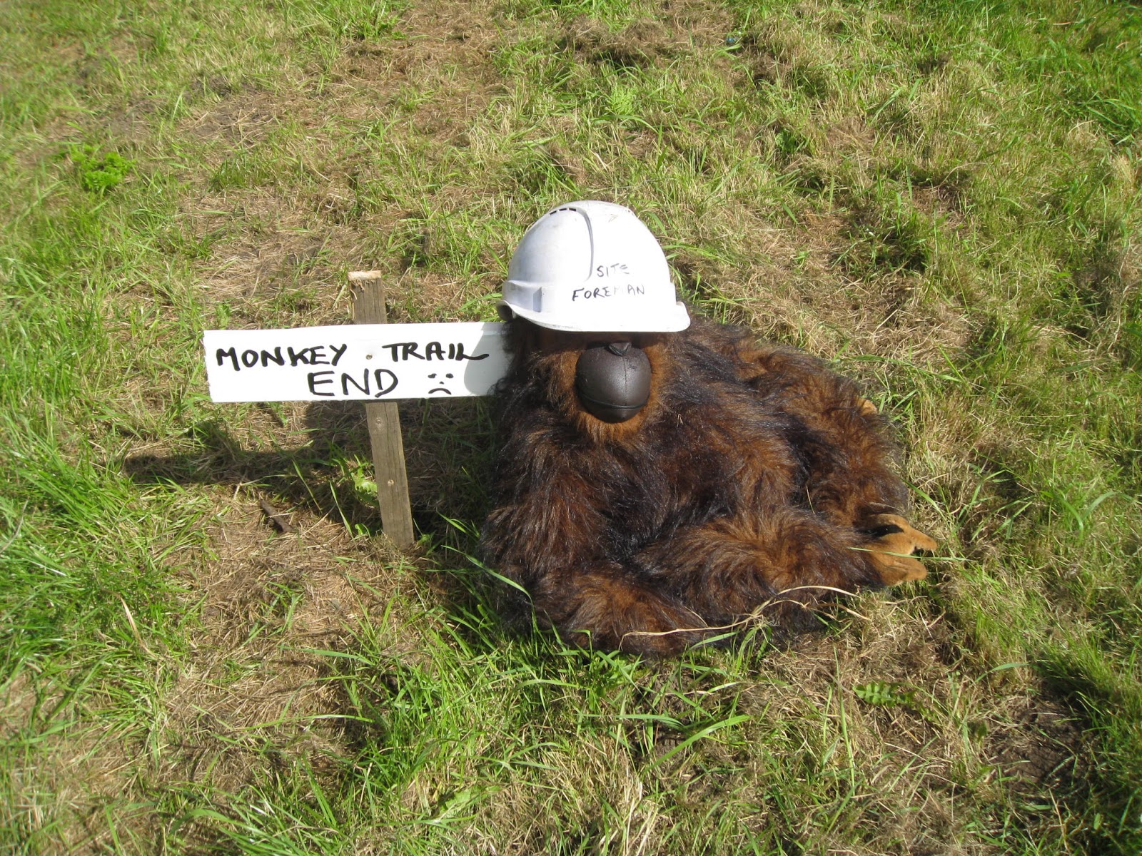 the-orchard-tea-room-farm-shop-2016